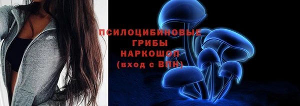 ешки Весьегонск