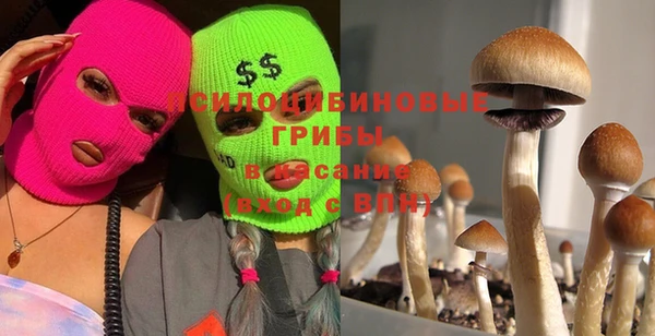 ECSTASY Корсаков