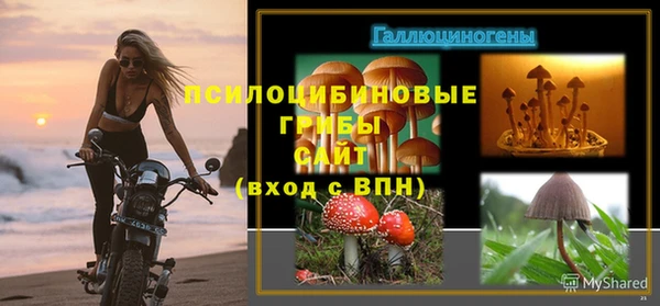 стафф Козловка